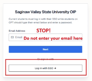 SSO Sign On Image for ISS Management System
